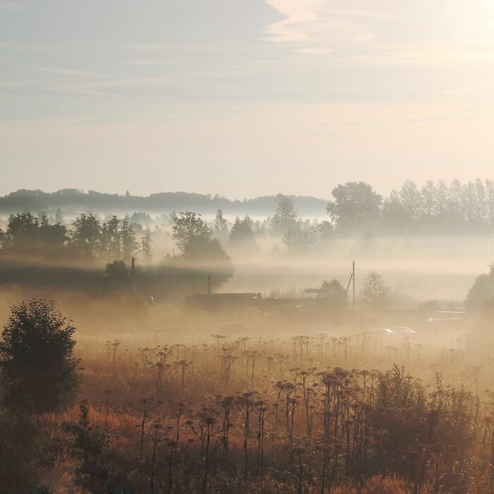 Hey Pandas, Post A Picture Of A Sunrise Or A Sunset That You Took