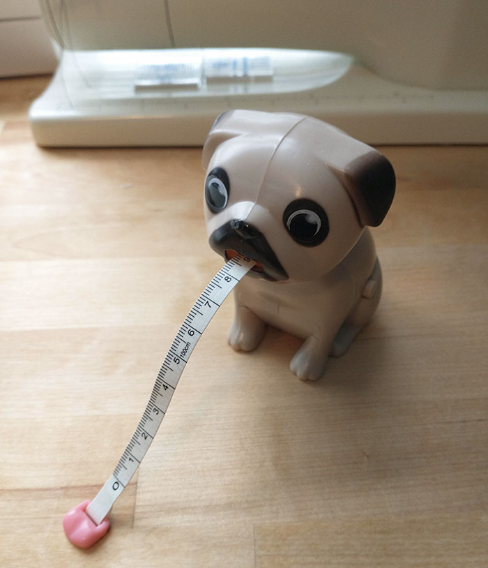 Pug Measuring Tape I Found For My Wife