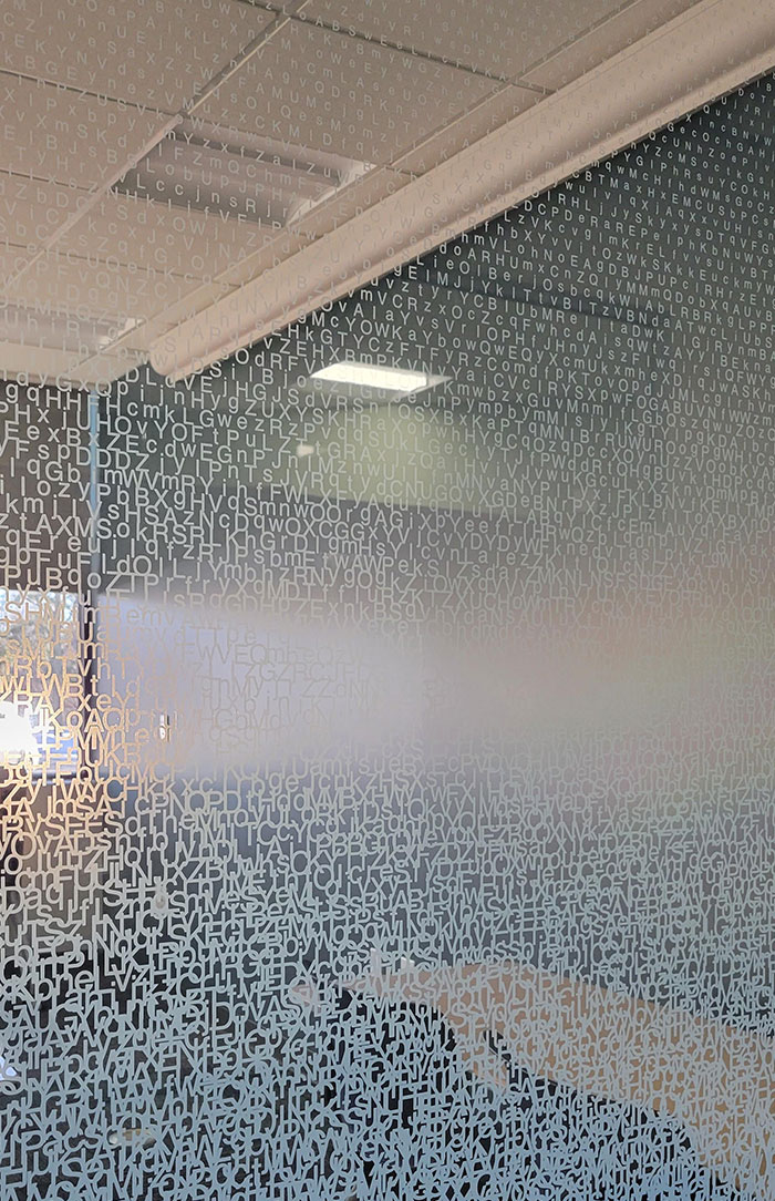 The Windows At My Local Library