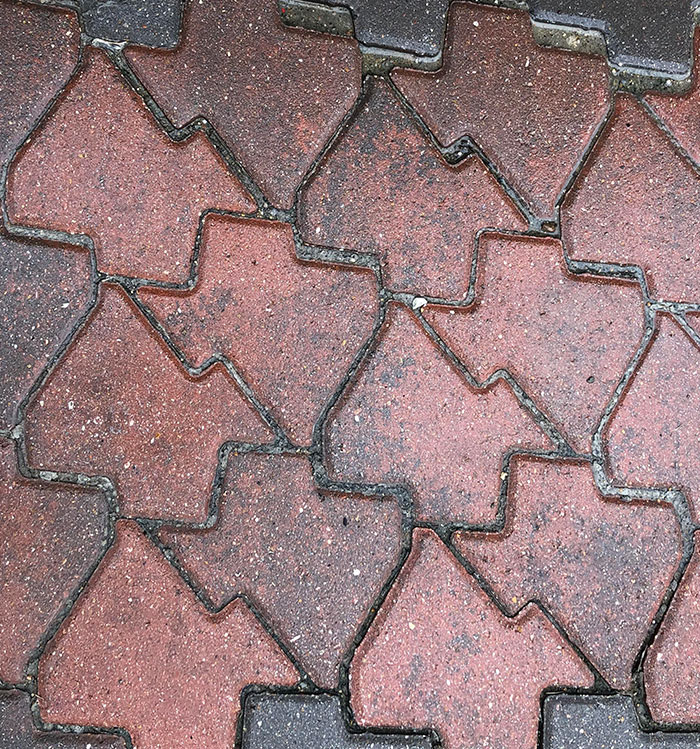 These Texas Shaped Bricks In Texas