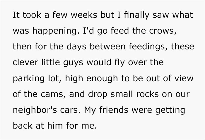 Person Watches Bully Neighbors Get Sweet Revenge, Discovers It's Done By The Crows They Befriended Earlier
