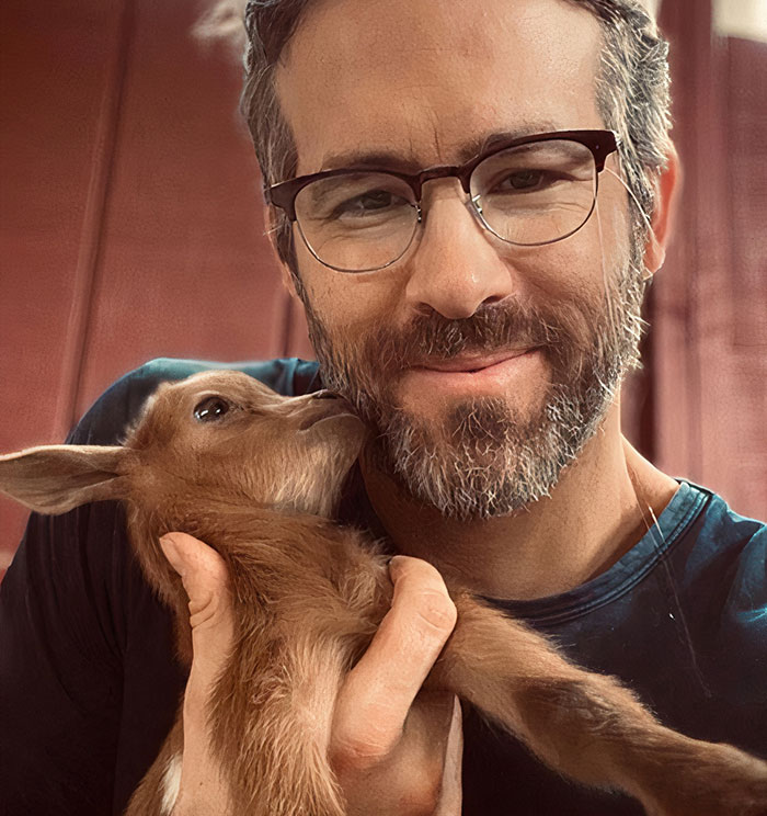 Ryan Reynolds with a little brown goat on his hands