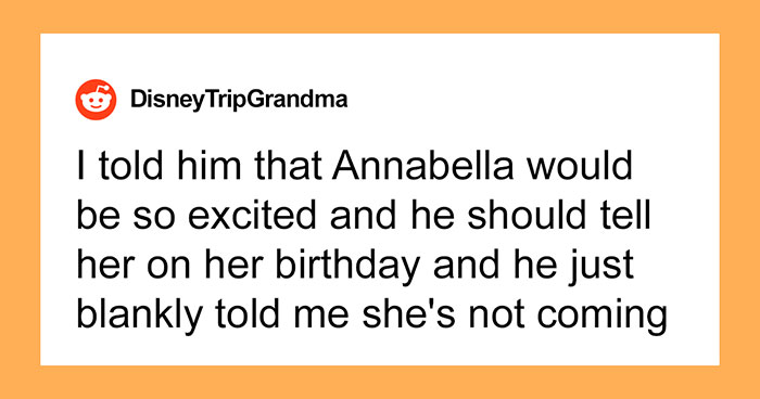 Woman Calls Out Her Son For Not Bringing His Daughter To Disneyland With The Rest Of His Family
