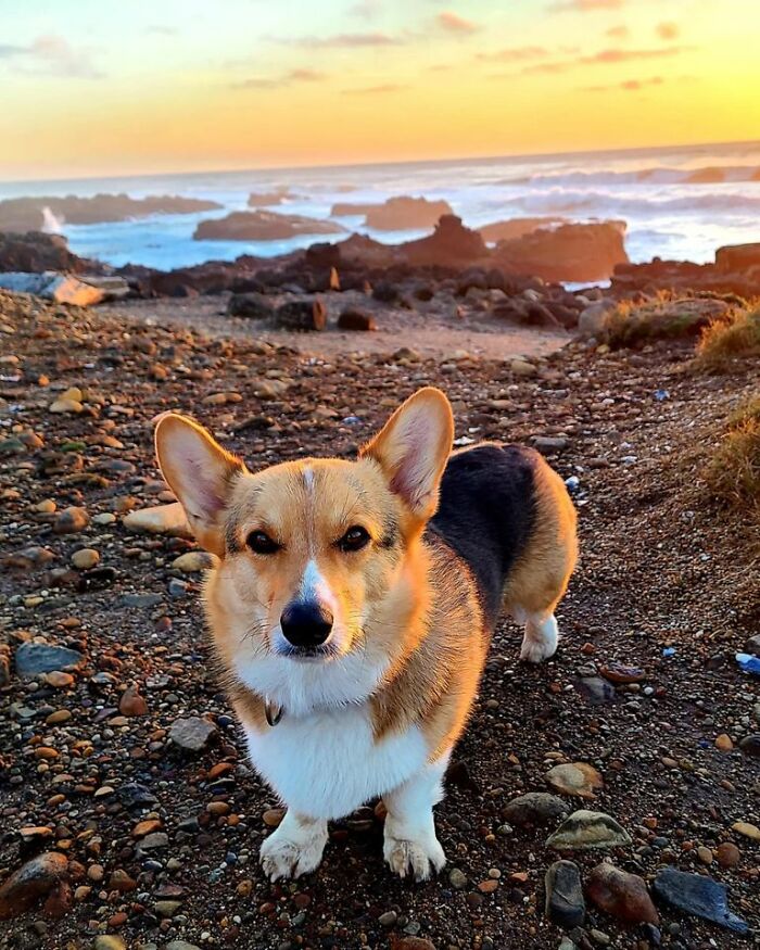 Are You Paying Attention To Me Or The Sunset?