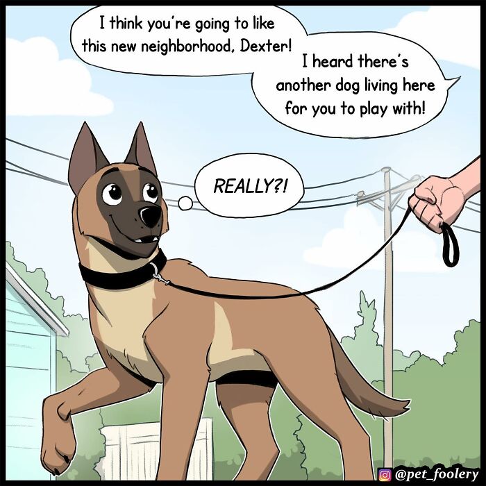 8 New Comic Strips Of Pixie And Brutus Adventures 8 New Comic Strips Of Pixie And Brutus Adventures