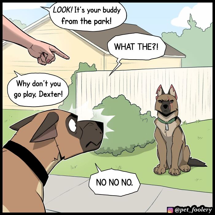 8 New Comic Strips From The Internet’s Most Loved Duo, Pixie And Brutus
