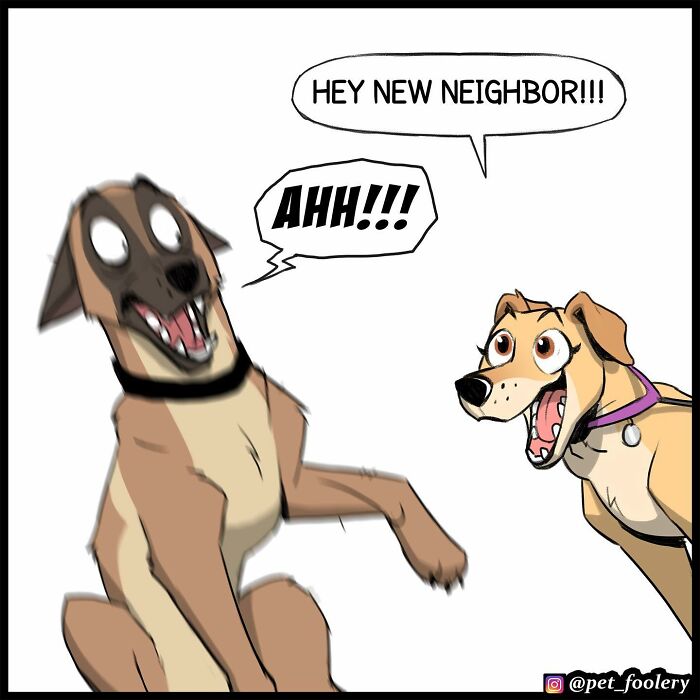 8 New Comic Strips Of Pixie And Brutus Adventures 8 New Comic Strips Of Pixie And Brutus Adventures