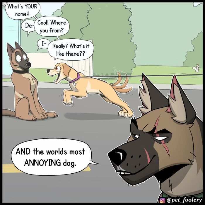 8 New Comic Strips Of Pixie And Brutus Adventures 8 New Comic Strips Of Pixie And Brutus Adventures