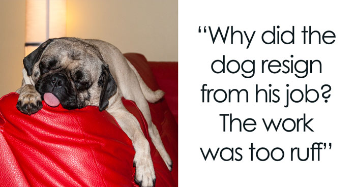 128 Dog Jokes That Might Make You Howl With Laughter
