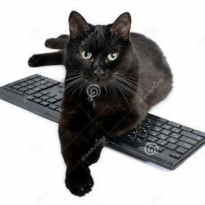 bruce-w-hochstetler avatar