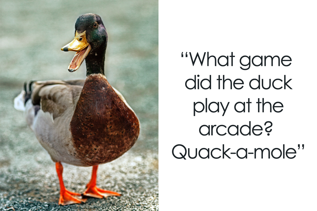 131 Duck Jokes That Might Just Quack You Up | Bored Panda