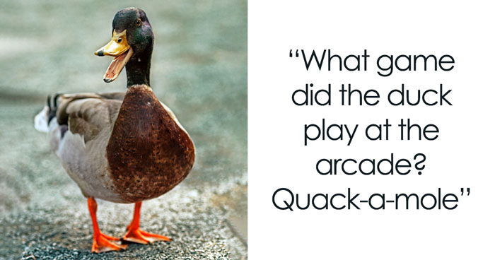 131 Duck Jokes That Might Just Quack You Up