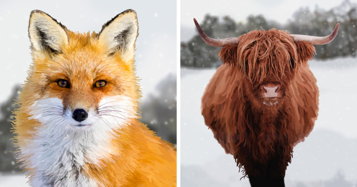 Animals, Wildlife And Nature Illustrations (9 Pics)