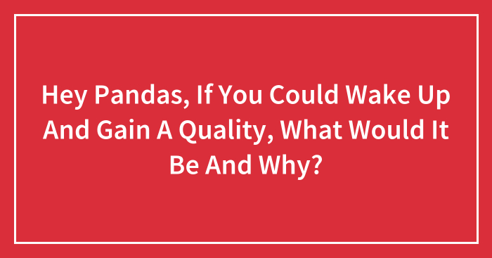 Hey Pandas, If You Could Wake Up And Gain A Quality, What Would It Be And Why?