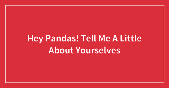 Hey Pandas! Tell Me A Little About Yourselves