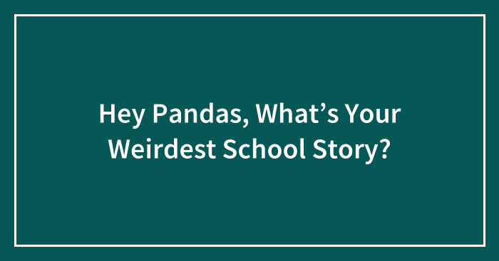 Hey Pandas, What’s Your Weirdest School Story?