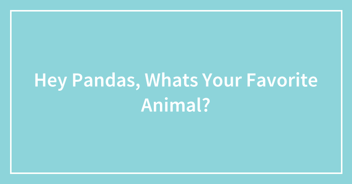 Hey Pandas, Whats Your Favorite Animal?