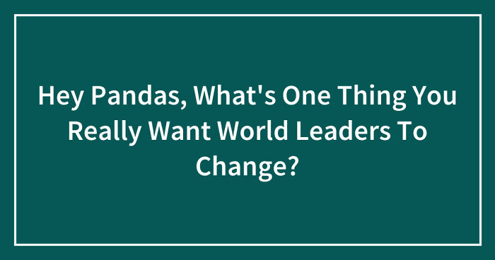 Hey Pandas, What’s One Thing You Really Want World Leaders To Change? (Closed)