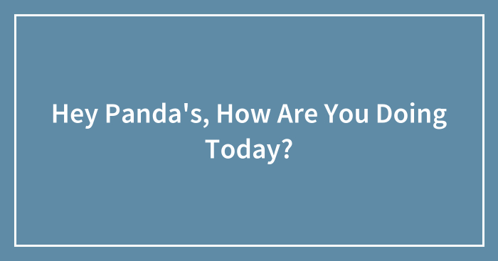 Hey Panda’s, How Are You Doing Today?