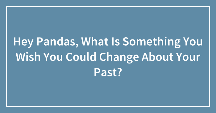 Hey Pandas, What Is Something You Wish You Could Change About Your Past?