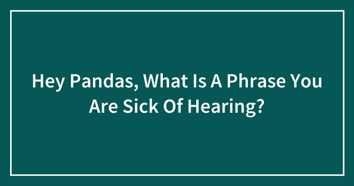 Hey Pandas, What Is A Phrase You Are Sick Of Hearing? (Closed)