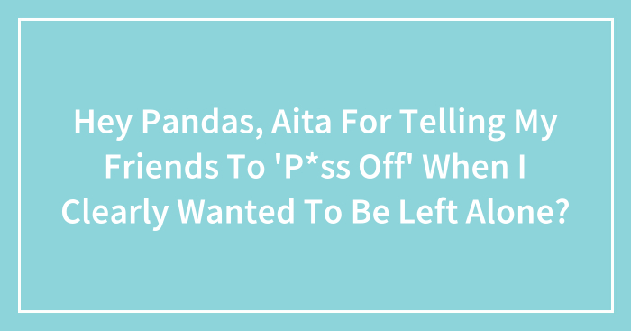 Hey Pandas, Aita For Telling My Friends To ‘P*ss Off’ When I Clearly Wanted To Be Left Alone?