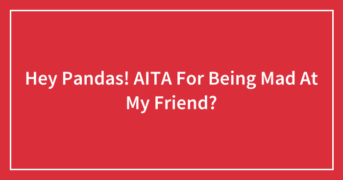 Hey Pandas! AITA For Being Mad At My Friend?