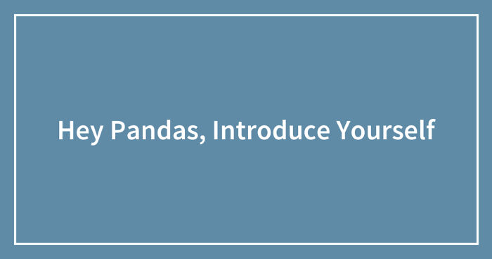 Hey Pandas, Introduce Yourself (Closed)