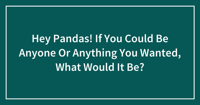 Hey Pandas! If You Could Be Anyone Or Anything You Wanted, What Would It Be? (Closed)