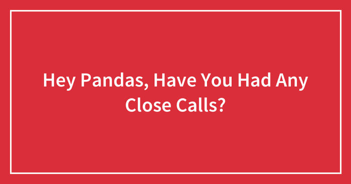 Hey Pandas, Have You Had Any Close Calls? (Closed)