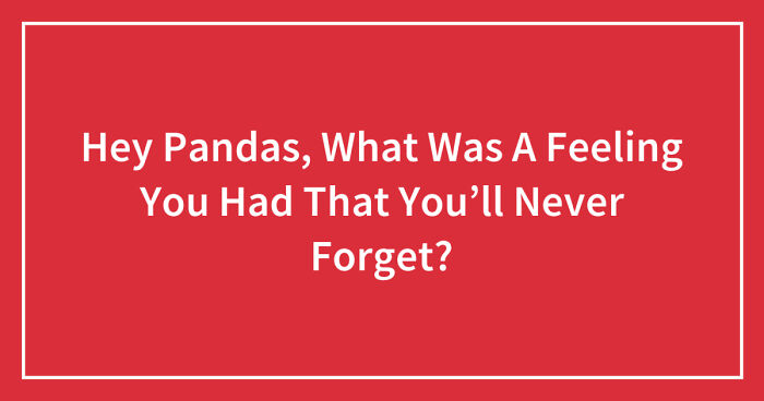 Hey Pandas, What Was A Feeling You Had That You’ll Never Forget? (Closed)