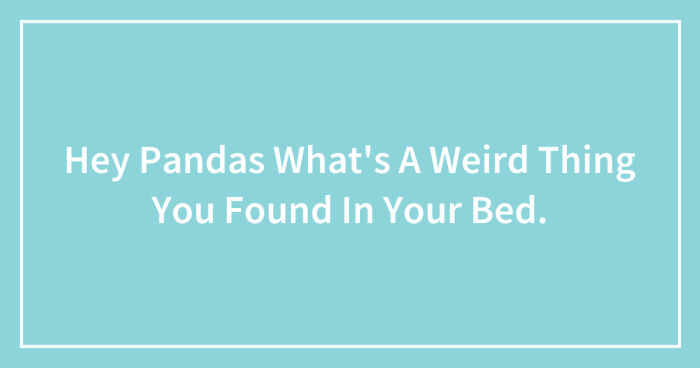 Hey Pandas What’s A Weird Thing You Found In Your Bed? (Closed)