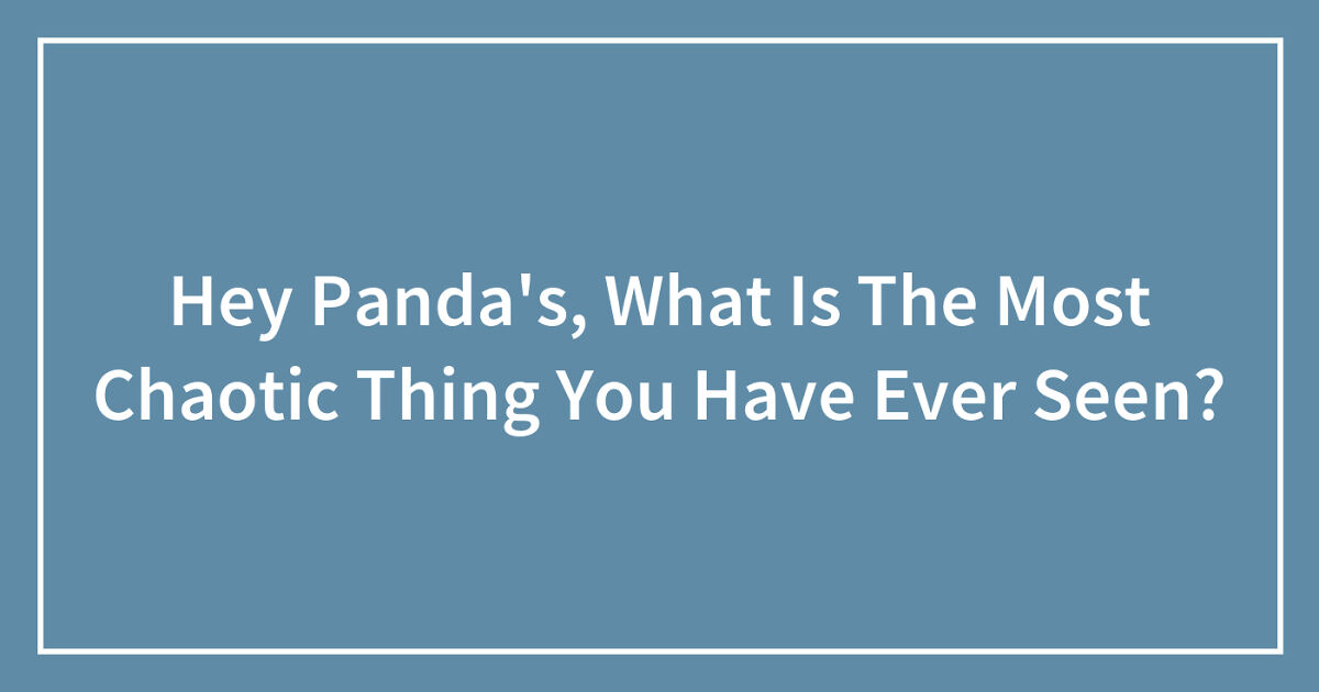Hey Panda’s, What Is The Most Chaotic Thing You Have Ever Seen? (Closed ...