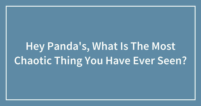 Hey Panda’s, What Is The Most Chaotic Thing You Have Ever Seen? (Closed)