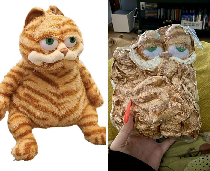 Así que compré un juguete de Garfield que ya tenía un aspecto espeluznante, pero luego apareció sellado al vacío, y oh Dios mío