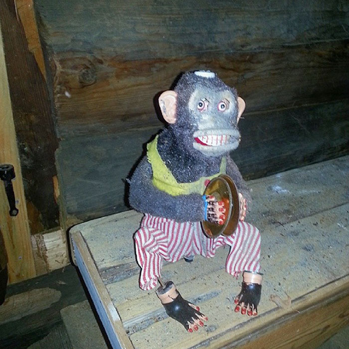 Encontré este mono en el ático