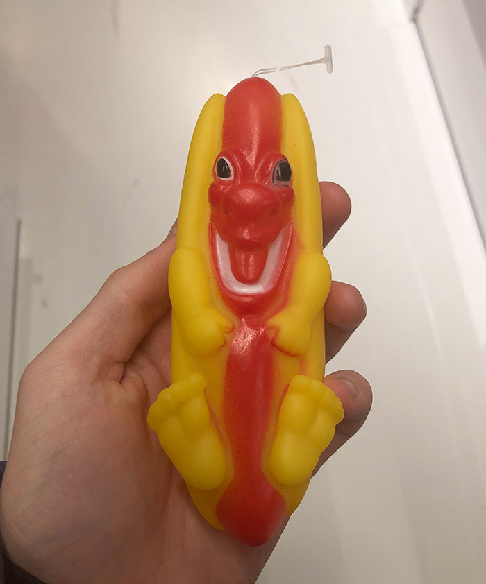 This Dog Toy