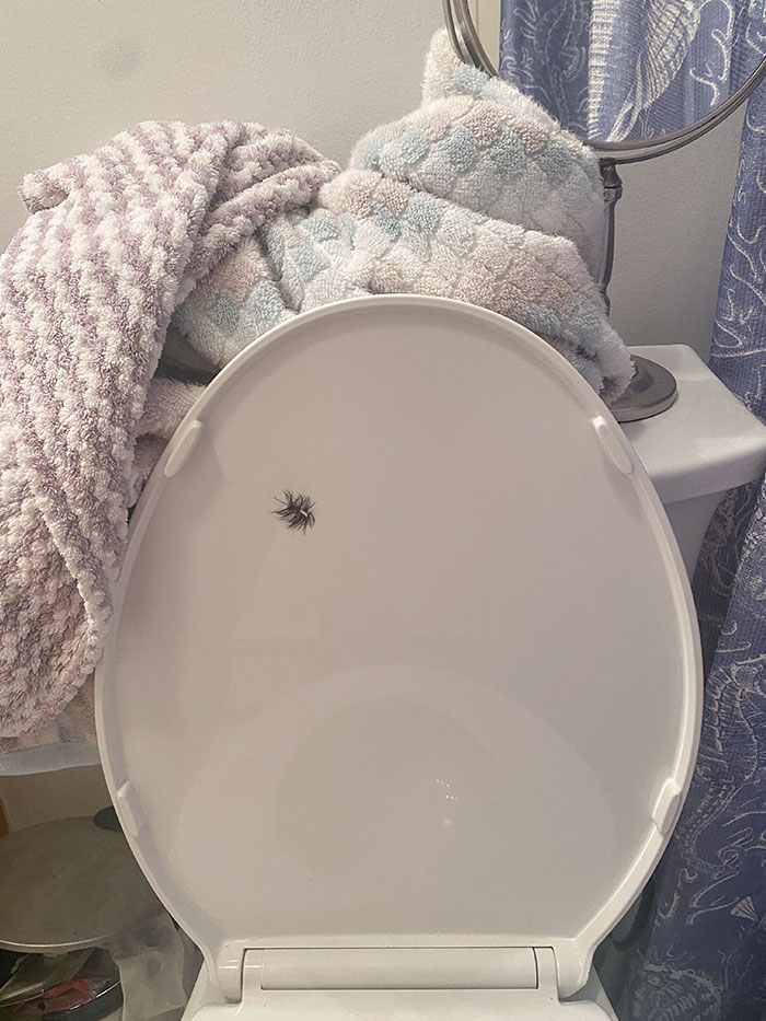 Put My Fake Eyelashes On The Toilet Seat To Scare My BF. It Backfired This Morning As I Was Half Asleep Opening The Seat