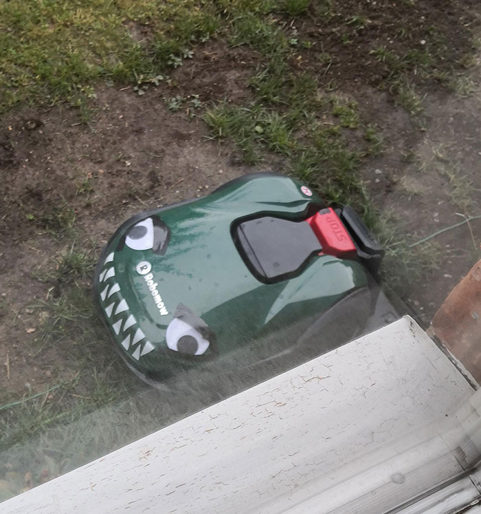 After I Hurt My Foot Mowing The Lawn, My Wife Bought And Decorated A Robot Mower