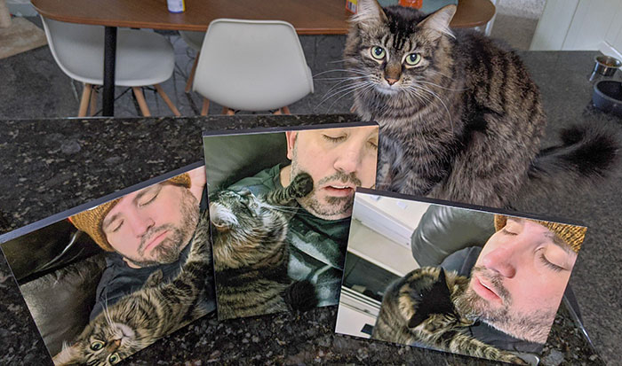 My Wife Has Been Secretly Collecting Pictures Of Me For Months Sleeping. Today, For Father's Day, I Was Gifted The Collection. I Present "Catnapping"