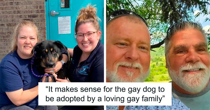Homophobic Owner Abandons ‘Gay’ Puppy Who Later Gets Taken In By Gay ...
