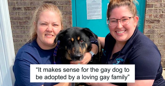 Homophobic Owner Abandons ‘Gay’ Puppy Who Later Gets Taken In By Gay ...