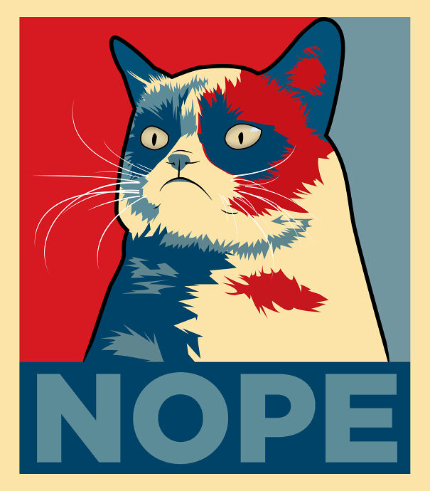 grumpy_cat__nope_by_imwithstoopid13-d624kvl-622eb9c9c72ee-png.jpg