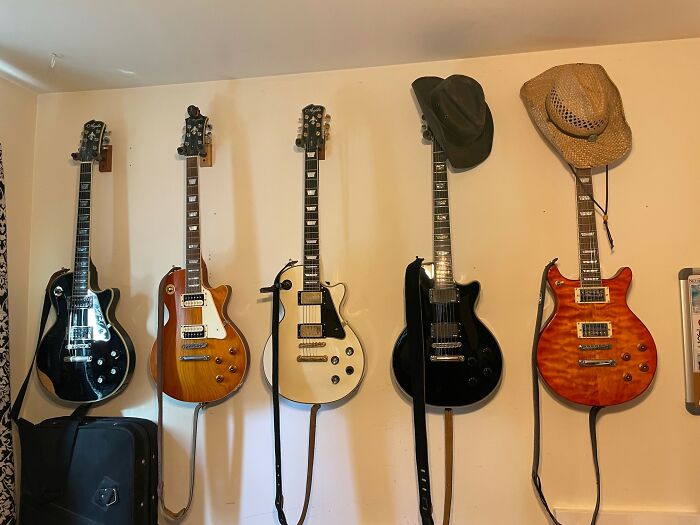 Collection Of Agile Guitars