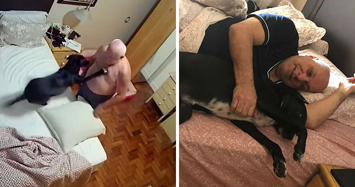 Home Camera Caught This Owner And Dog’s Adorable Nighttime Routine, And The Video Of It Went Viral