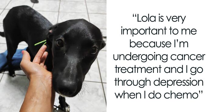 Home Camera Caught This Owner And Dog’s Adorable Nighttime Routine, And The Video Of It Went Viral