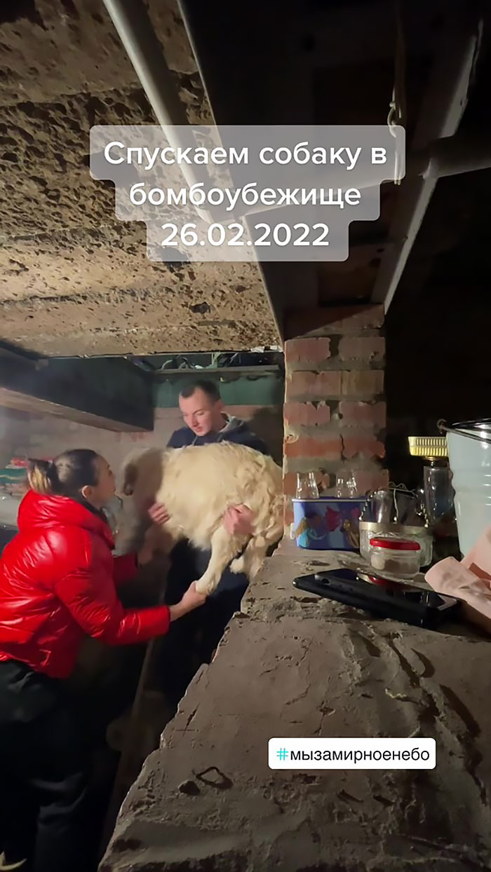 "Llevando al perro al refugio antibombas, 26/02/2022"