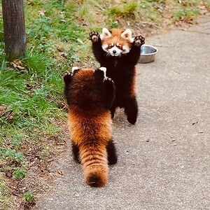 samanthaarcan_1 avatar