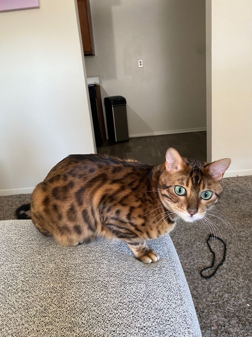 My Baby Boy, Quantum’s, Eyes Are Better