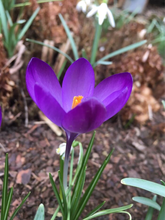 I Absolutely Love These